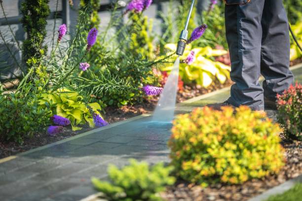 Best House Exterior Washing  in Forestville, OH